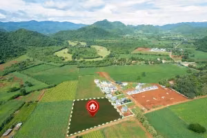 Lĩnh vực Đất đai