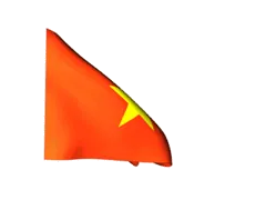 Vietnam Flag